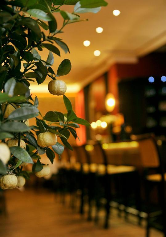 Altstadthotel Am Theater Cottbus Luaran gambar